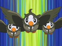 Starly