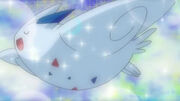 EP641 Togekiss de Dawn.jpg