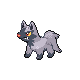Poochyena DP