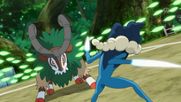 EP862 Gogoat usando hoja afilada contra Frogadier.png