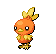 Torchic NB