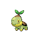 Turtwig DP