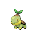 Turtwig DP