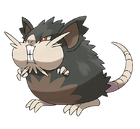 http://vignette1.wikia.nocookie.net/es.pokemon/images/8/8b/Raticate_de_Alola.png/revision/latest/scale-to-width-down/140?cb=20160906132104