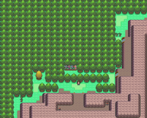 Bosque Vetusto exterior.png
