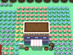 Floristería Arco Iris.png