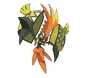 Tapu Koko.png