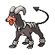 Houndoom DP