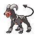 Houndoom DP