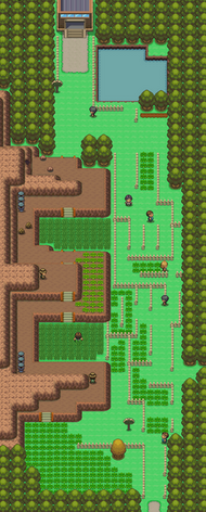 Ruta 214.png