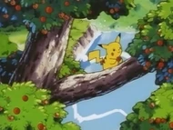 EP039 Pikachu cogiendo una manzana