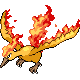 Moltres Pt