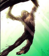 Chewbacca 004.jpg