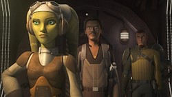 Hera Lando Kanan.png