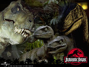 Jurassic Park.jpg
