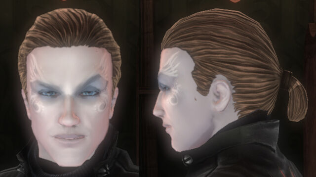 File:Short Ponytail.jpg