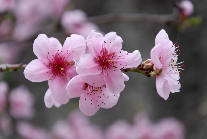 latest?cb=20150302233910&path-prefix=fr