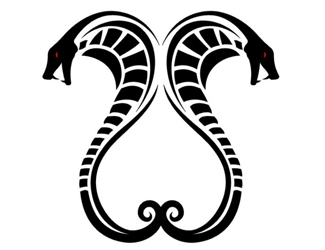 image snake tattoo very special animal styles that image snake tattoo very special animal styles that
