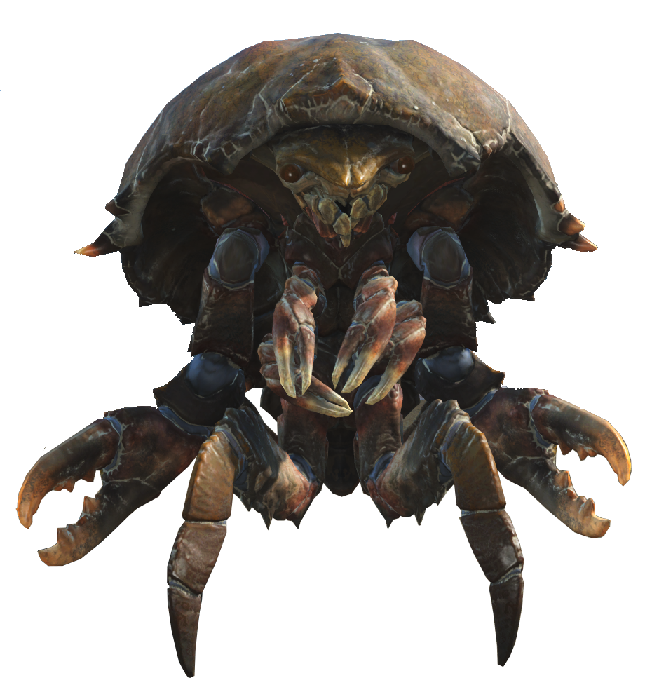 mirelurk-fallout-4-fallout-wiki-fandom-powered-by-wikia