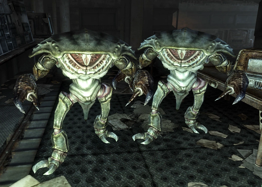 image-mirelurks-awm-jpg-fallout-wiki-fandom-powered-by-wikia