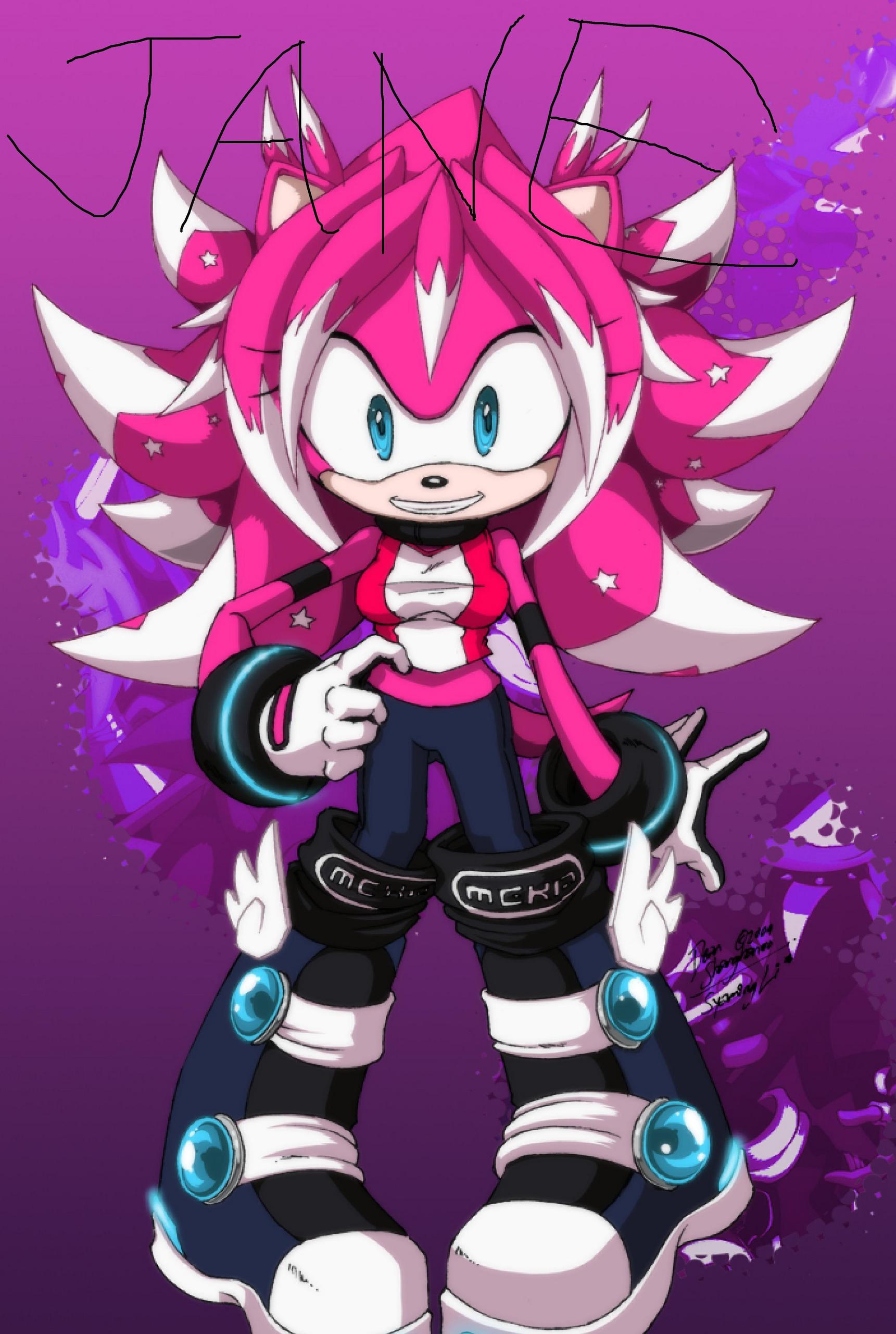 Nicole The Hedgehog | Fan Fiction | Fandom powered by Wikia