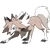 745Lycanroc Midday