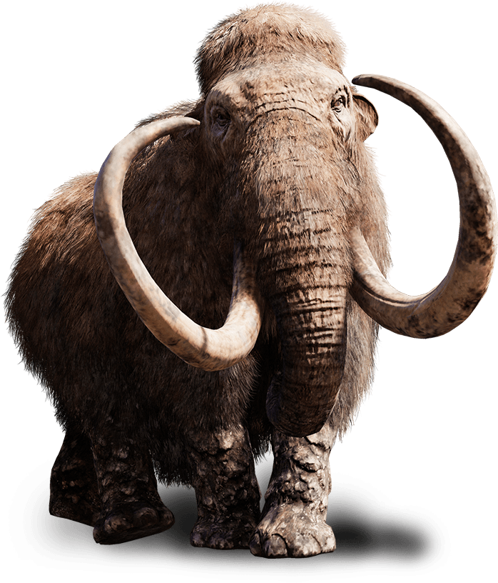 Zoo Tycoon Xbox 2, Idea Wiki