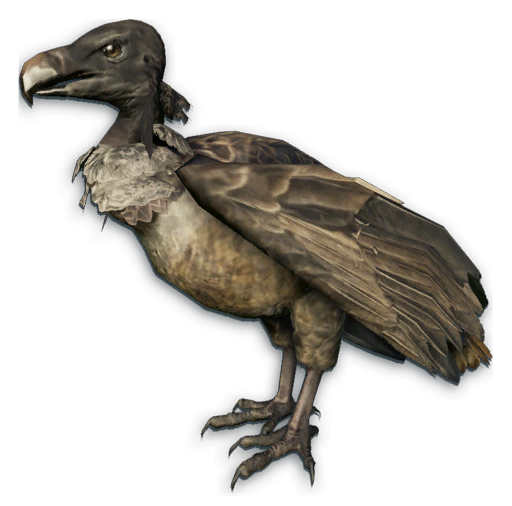 Vulture | Far Cry Wiki | Fandom powered by Wikia
