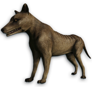 Thylacine Far Cry Wiki Fandom Powered By Wikia Thylacine Far Cry Wiki Fandom Powered By Wikia