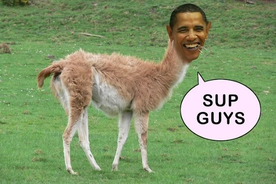 Obama Llama | Fat Man Wiki | Fandom powered by Wikia