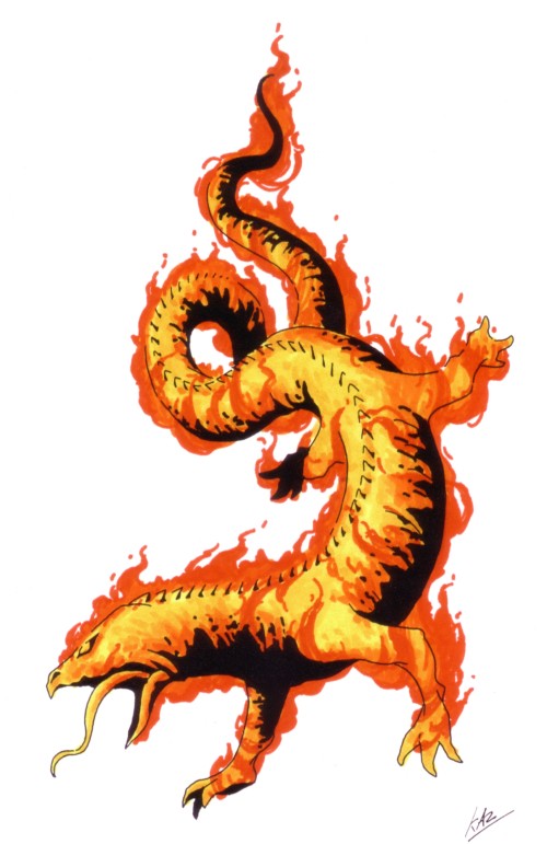 Flame Salamander | Fictional Creatures Wiki | Fandom powered by Wikia