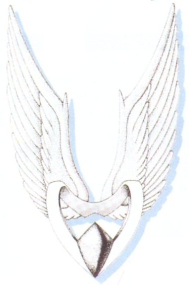 Angel Wings (equipment) | Final Fantasy Wiki | FANDOM powered by Wikia