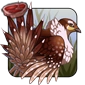 Grouse.png