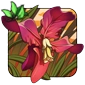 Delta_Orchid.png