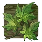 Maple_Leaf.png