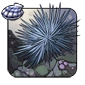 Snowflake_Urchin.png