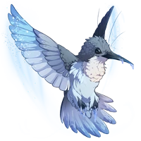 Frostbite_Hummingbird.png