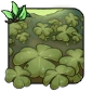 Clover.png