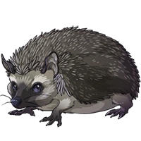 Hedgehog.png
