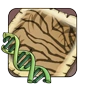 Ripple_Gene.png