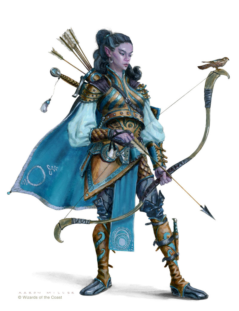 ranger forgotten realms wiki fandom powered by wikia ranger d d