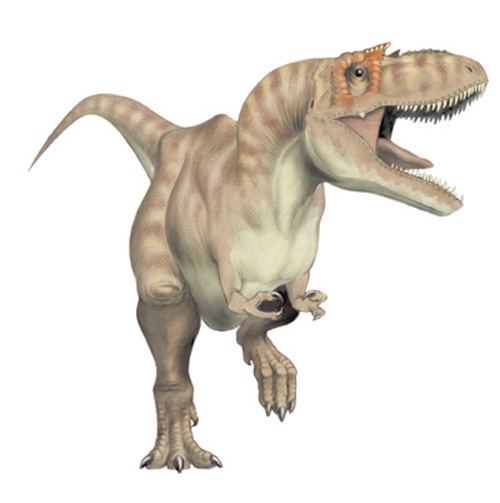 albertosaurus fossil