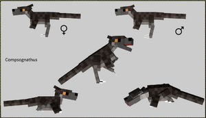 Compsognathus | Fossils and Archeology Mod Revival Wiki | Fandom powered by Wikia