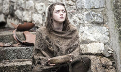 Arya Saison 6.jpg