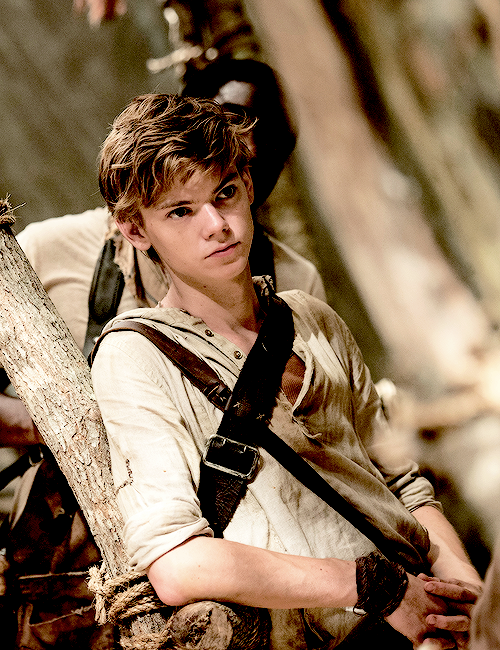 http://vignette1.wikia.nocookie.net/fusion-of-worlds/images/1/12/Newt-Maze-Runner-the-maze-runner-37617972-500-650.png/revision/latest?cb=20141224191400
