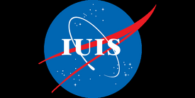Flag of iuis