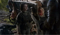 Arya - The Rains of Castamere (episode)