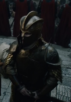 game of thrones kingsguard actor