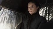 Sansa2.jpg (466 KB) Sansa2
