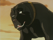 Benizakura010